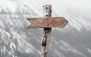 Synchronicity: the Signs of Life - image