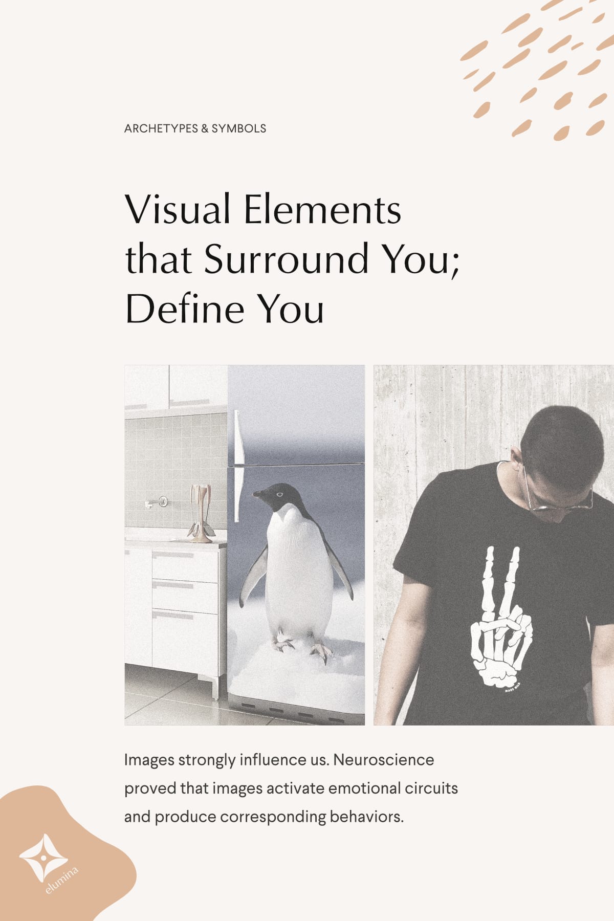 Be Careful With What you Wear and Decorate your Home. Neuroscience proved that images activate emotional circuits and produce corresponding behaviors.